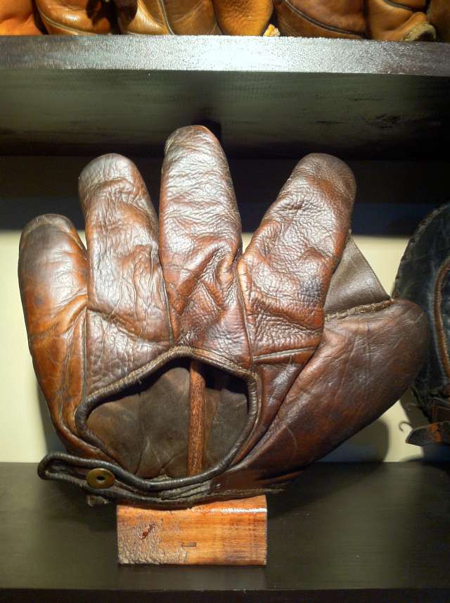 A.J. Reach Full Web Brown Back