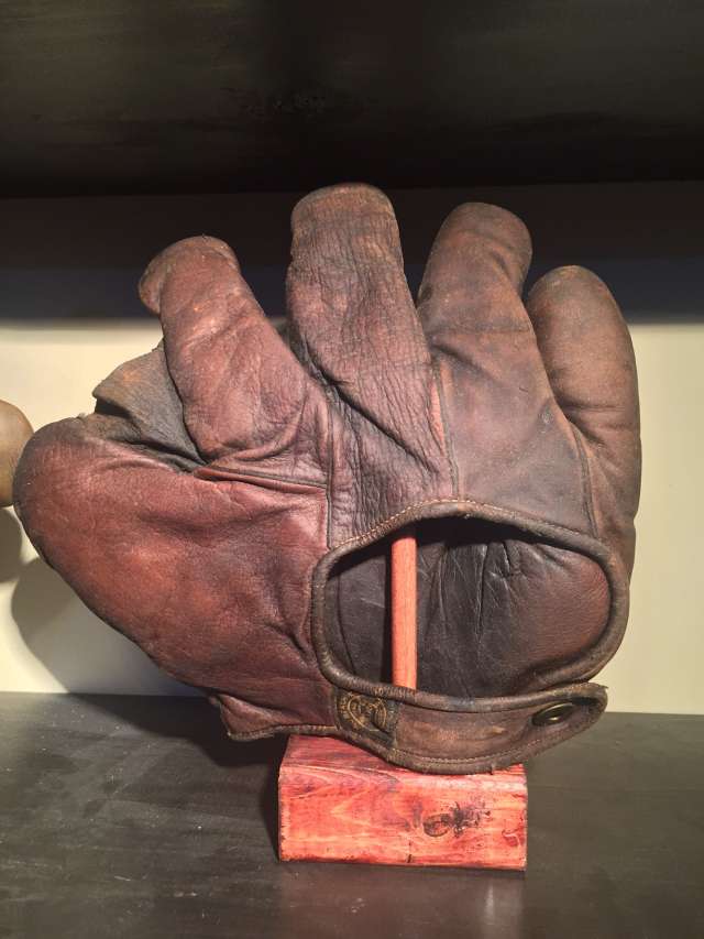 A.J. Reach Full Web Lefty Brown Back