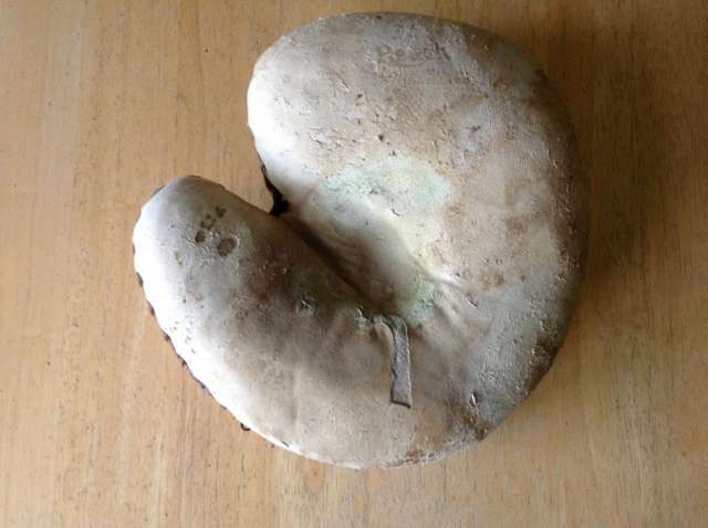 A.J. Reach White Catchers Mitt Front