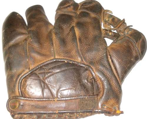 Reach Strap Web Back