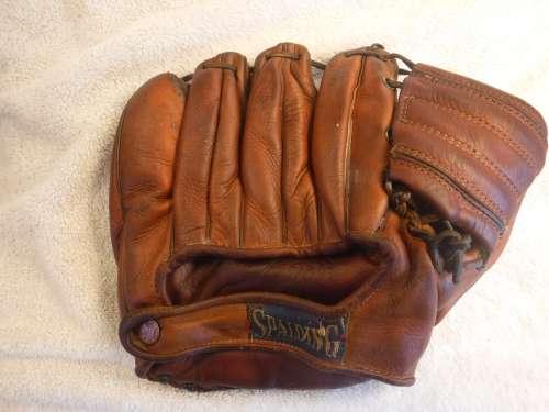 Al Dark Spalding 1041 Back