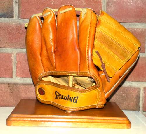 Sam Esposito Spalding 1161 Back