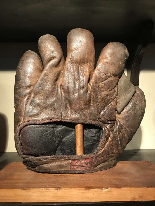 Spalding Full Web Brown Back