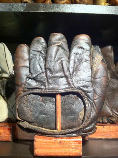 Victor Full Web Brown Back