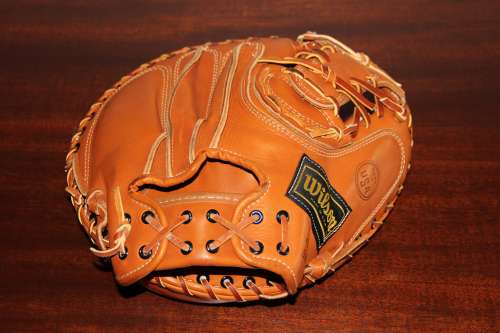 Wilson A2406 Professional Model Back
