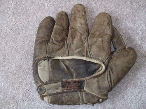 Thomas E. Wilson 1 Inch Web Back