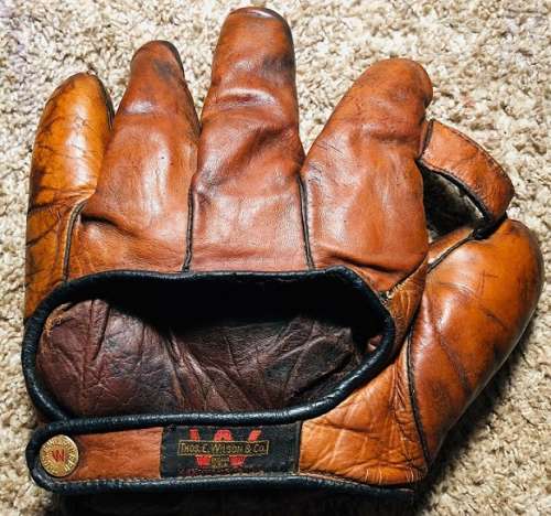 Thomas E. Wilson 1 Inch Web Back