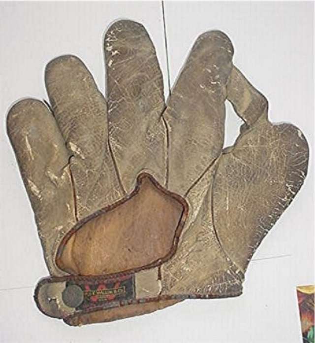 Thomas E. Wilson 1 Inch Web Back