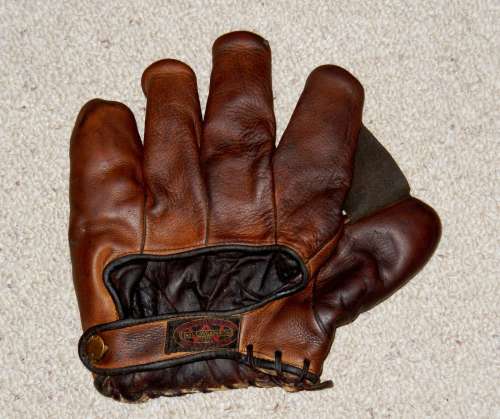 Thomas E. Wilson 601 Full Web Back