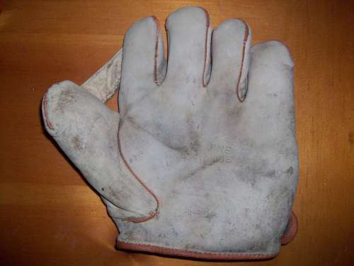 Thomas E. Wilson 646 1 Inch Web Front