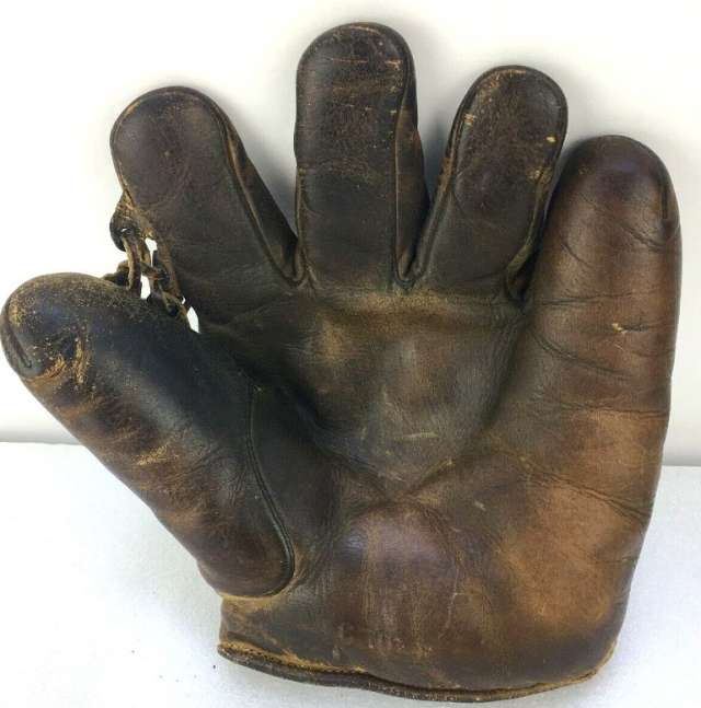 Thomas E. Wilson 650LF Grommet Web Front