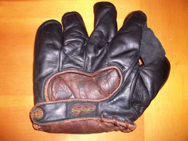 Thomas E. Wilson 651 Full Web Back