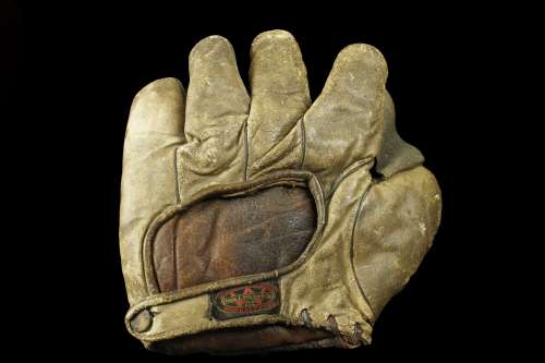 Thomas E. Wilson Brown Full Web Back