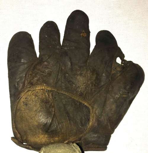 Thomas E. Wilson Grommet Web Back