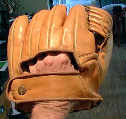 Wilson 604 Back
