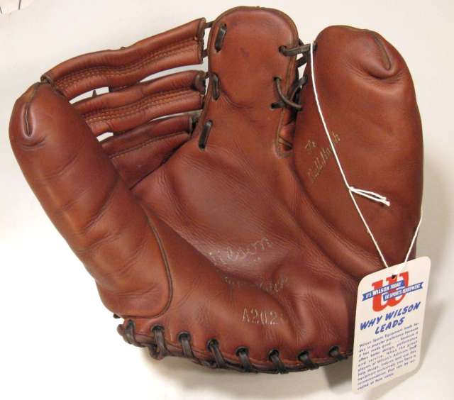 Wilson A2020 Ball Hawk Back