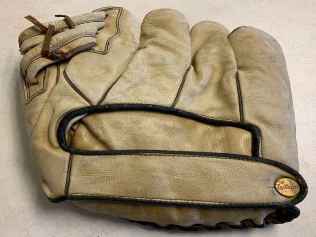 Wilson PBG6 Back
