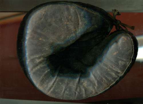 Winchester Catchers Mitt Lefty Front