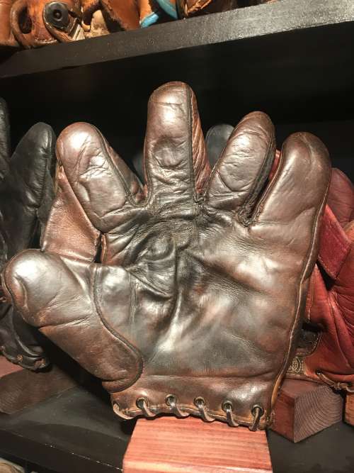 Winchester Full Web Brown Front