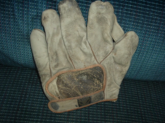 Victor, Wright & Ditson 1 Inch Web White Back