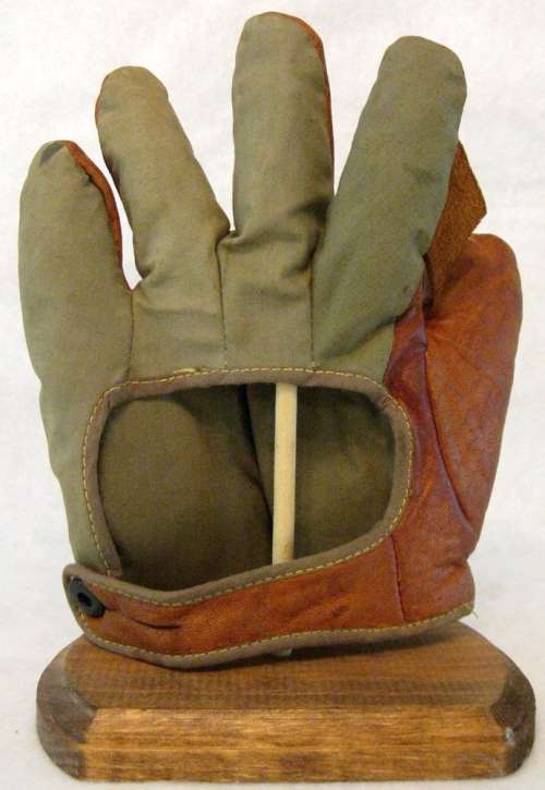 Yale Champion 1 Inch Web Back